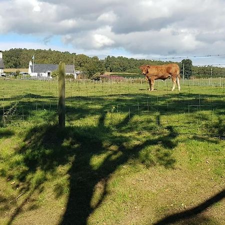 Cosy 2 Bedroom Croft Cottage With Beautiful Views North Kessock 외부 사진