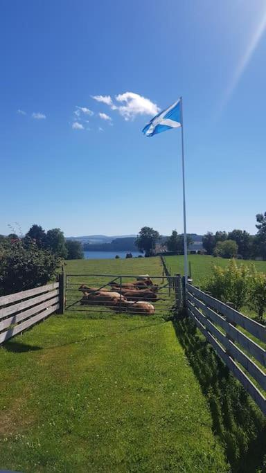 Cosy 2 Bedroom Croft Cottage With Beautiful Views North Kessock 외부 사진