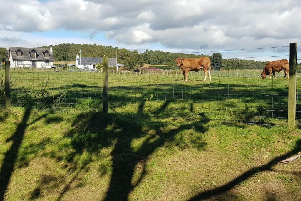 Cosy 2 Bedroom Croft Cottage With Beautiful Views North Kessock 외부 사진